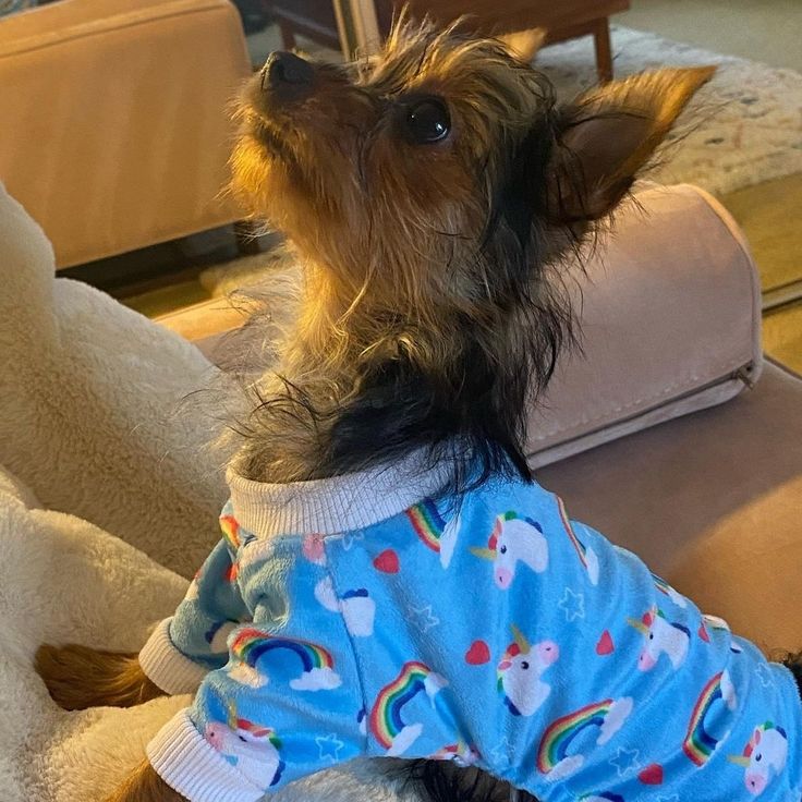 𝑀𝑐𝐾𝑒𝑛𝑛𝑎 𝑅𝑖𝑐𝑐𝑖 (𝐺𝑟𝑎𝑐𝑒) tweet media