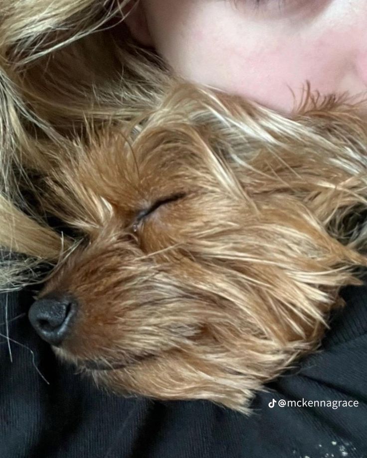 𝑀𝑐𝐾𝑒𝑛𝑛𝑎 𝑅𝑖𝑐𝑐𝑖 (𝐺𝑟𝑎𝑐𝑒) tweet media