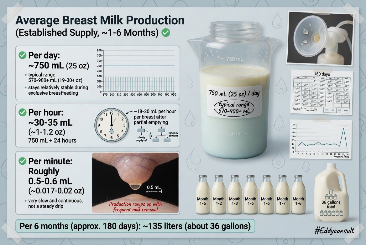 EddyConsult's tweet image. Women in 6 months of  breastfeeding releases 135 liters (about 36 gallons) total of breast milk , assuming steady average intake. Actual totals vary by baby’s needs and mom’s supply.  #Breastfeeding #eddyconsult #Breast #Pediatrics