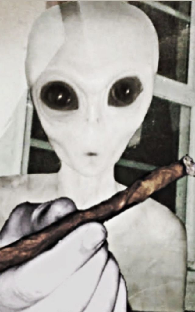 𝐞𝐧𝐠𝐞𝐥 ☭ tweet media