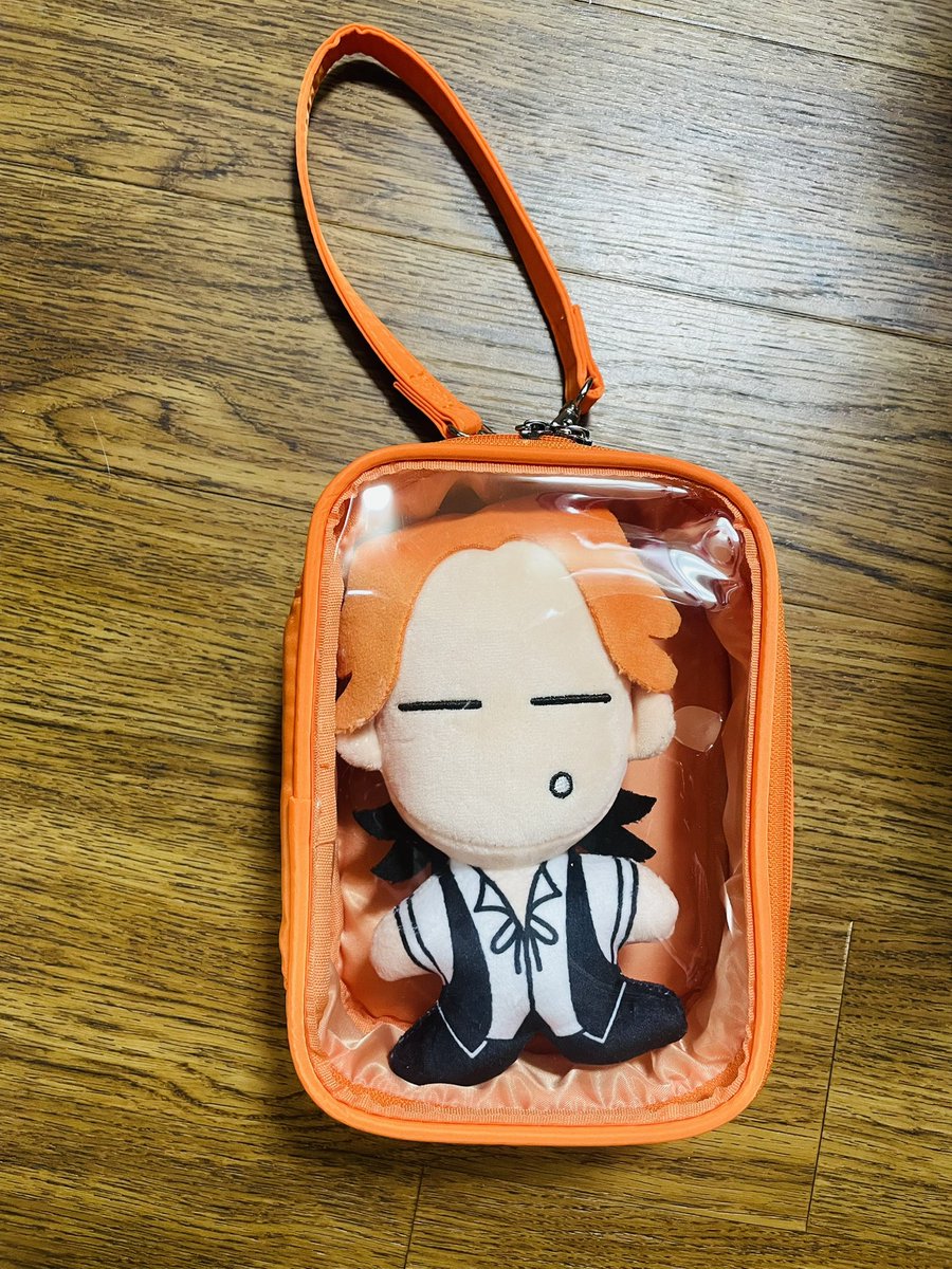 ぬい♡GET 専用のケースも準備した これで 3公演連れて行ける （あと