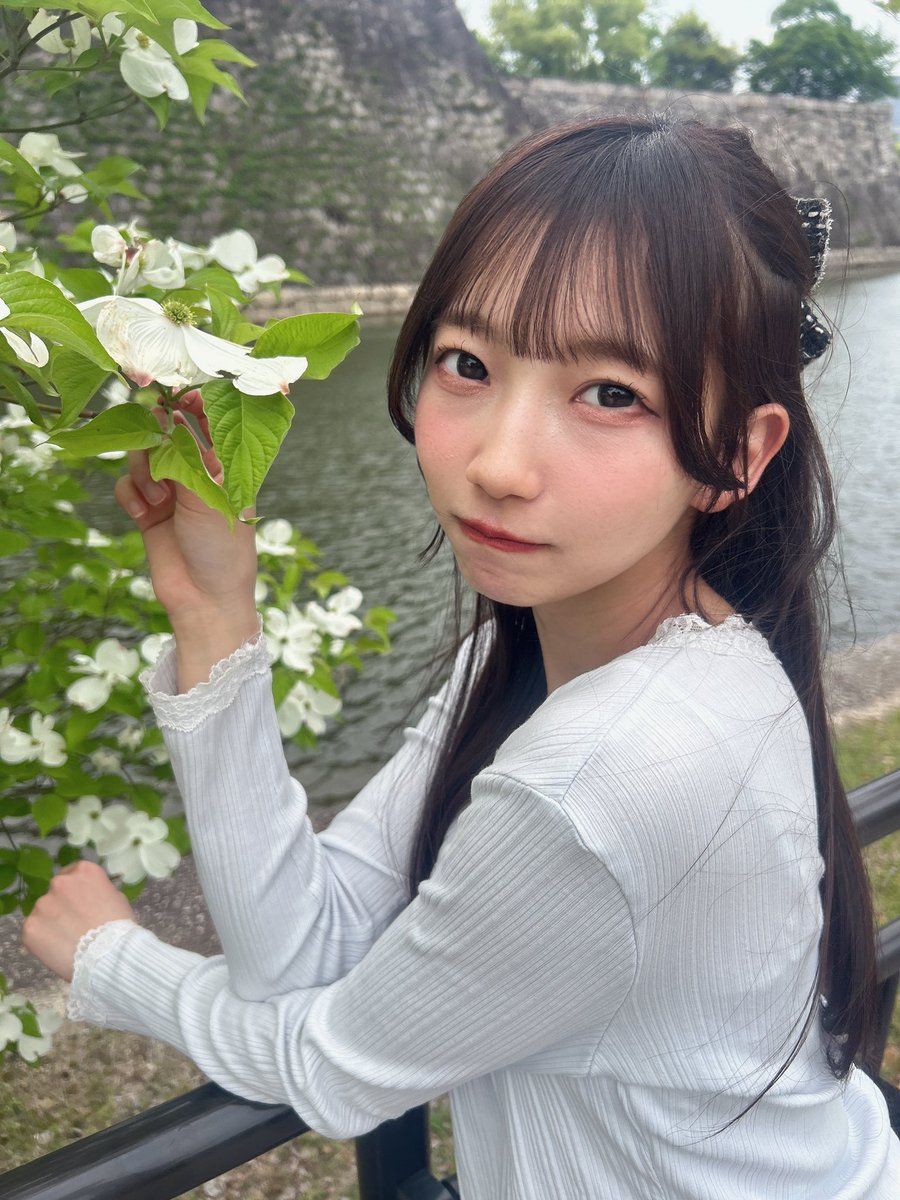 琴乃🐰 tweet media