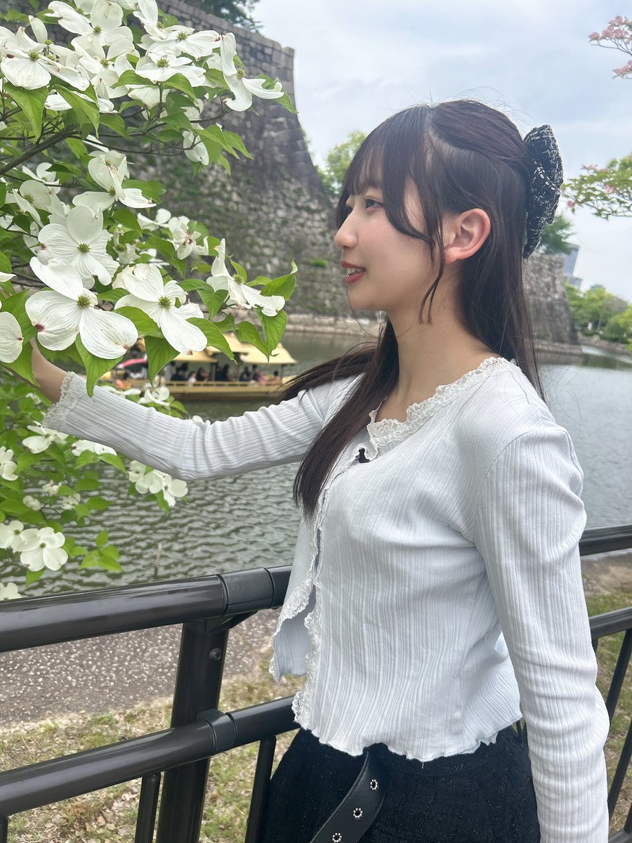 琴乃🐰 tweet media
