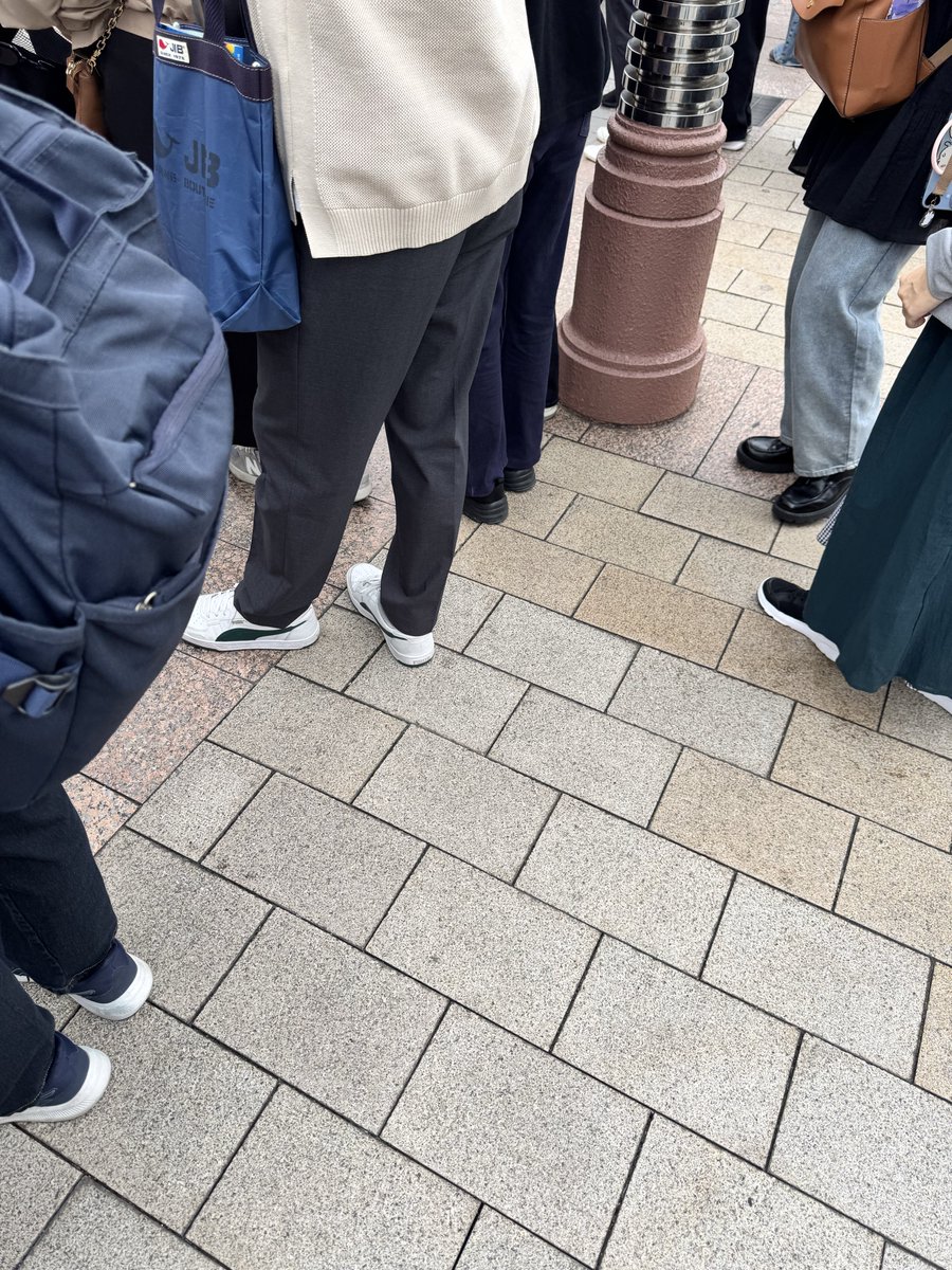 🦋チーズくん🍀 tweet media