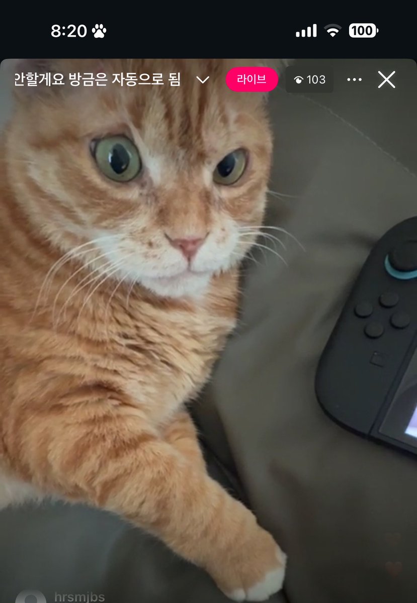 구독냥(김냄비다이어트4차) tweet media