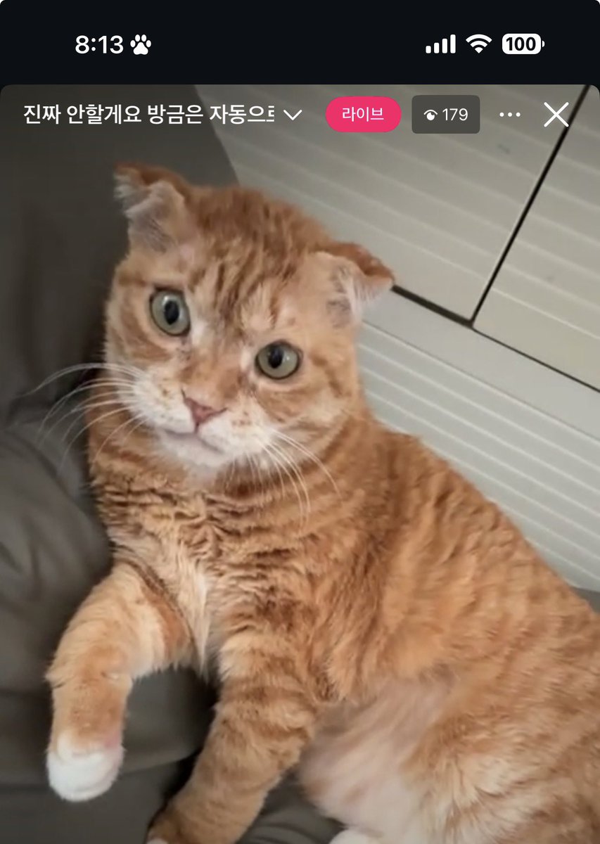 구독냥(김냄비다이어트4차) tweet media