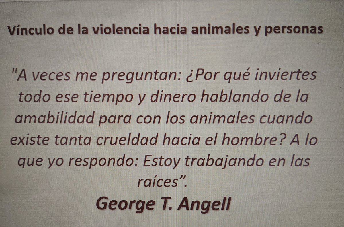Gente por la Defensa Animal (GEPDA) tweet media