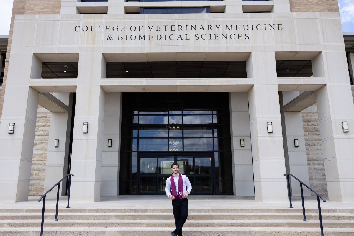 Texas A&M VetMed tweet media