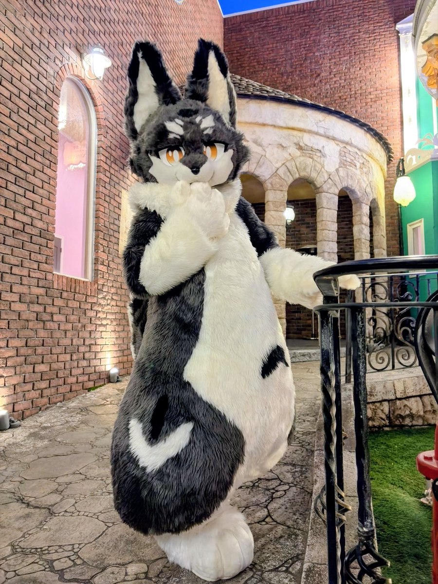 FursuitEveryday #ケモノフォーカス