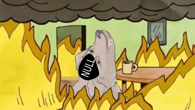 ROGER JACK 🔞🪙 tweet media