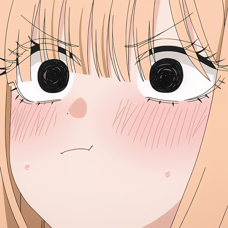 Anime Daily tweet media