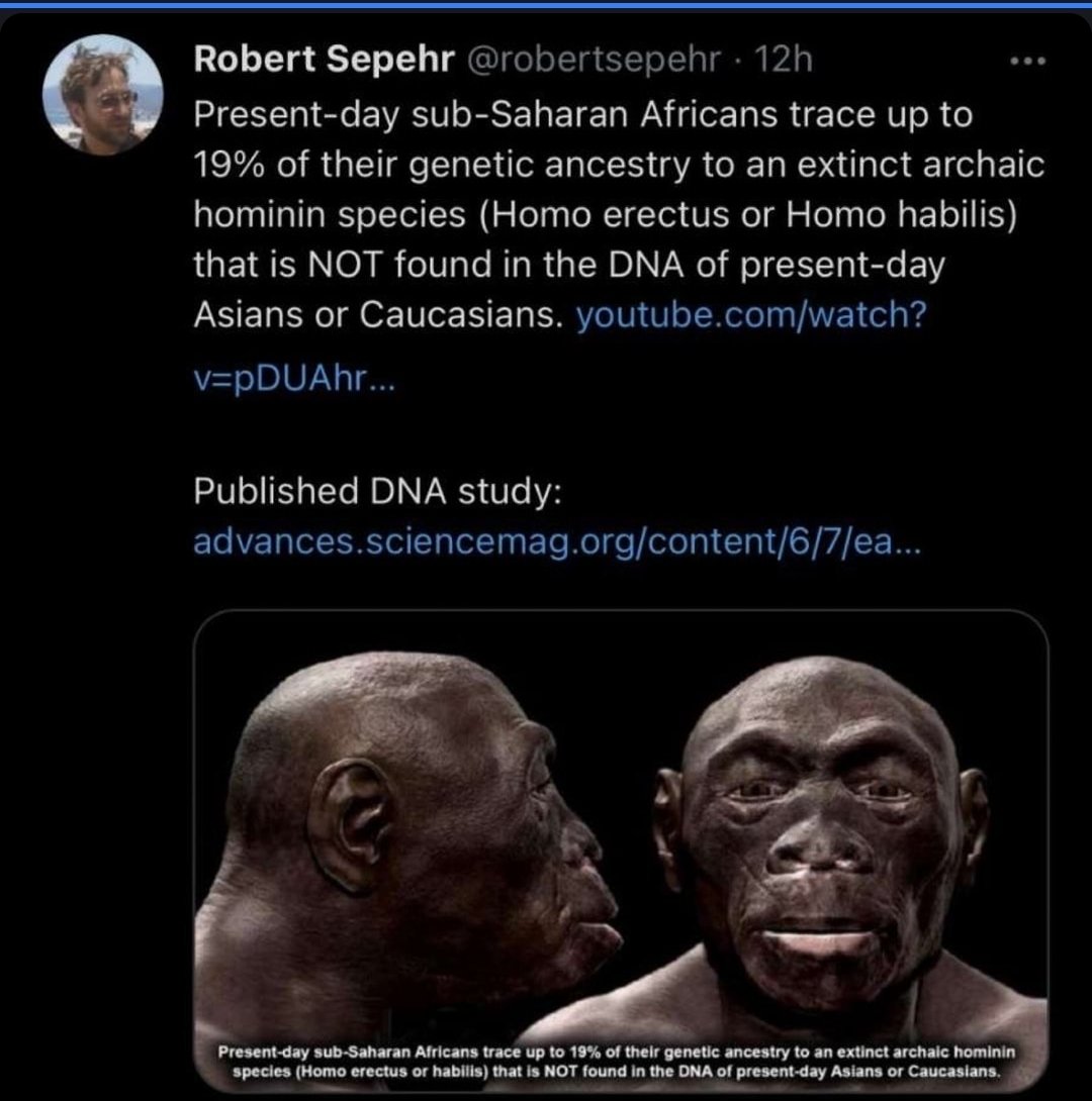 Solo tweet media