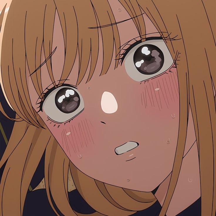 Anime Daily tweet media