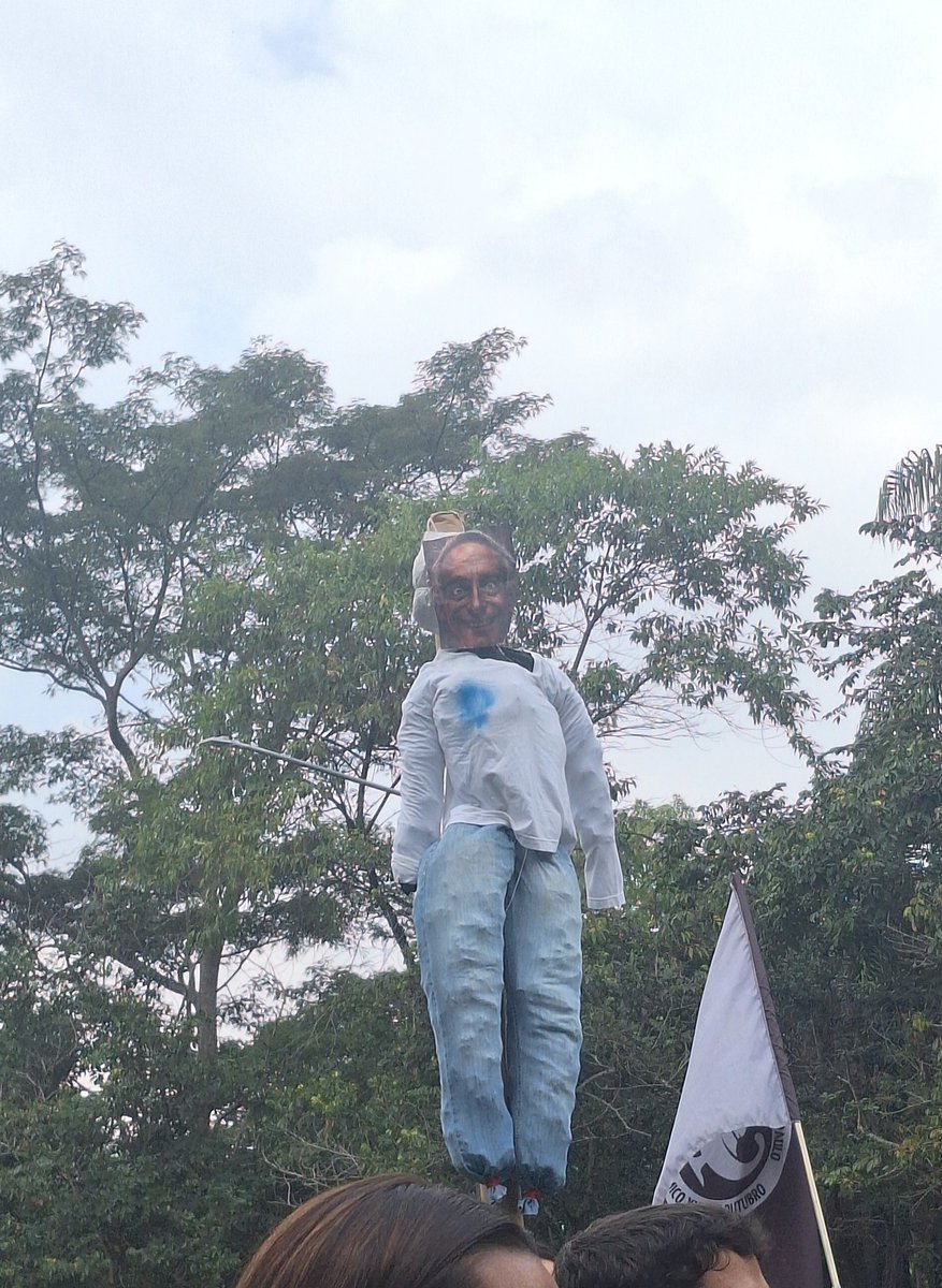 hallucigenia 𖢥 tweet media