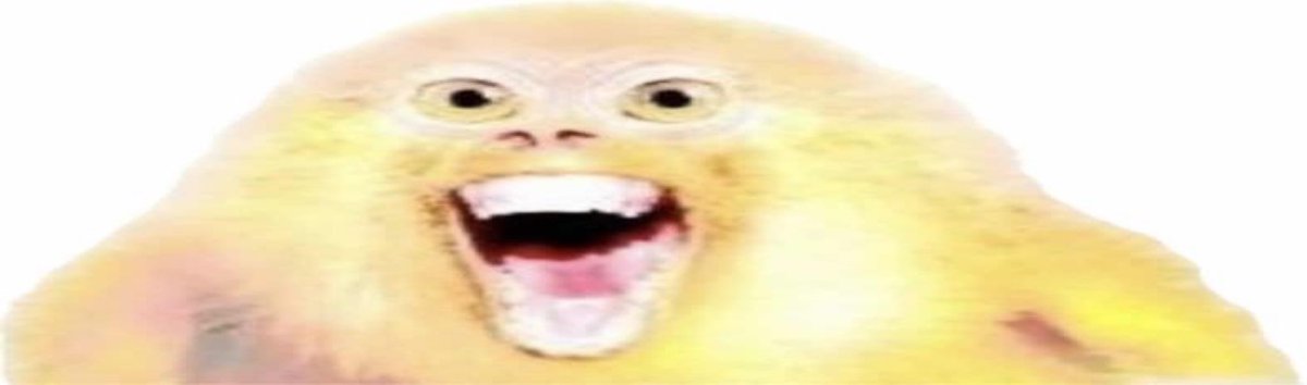 Meelk 🌙🍉 tweet media