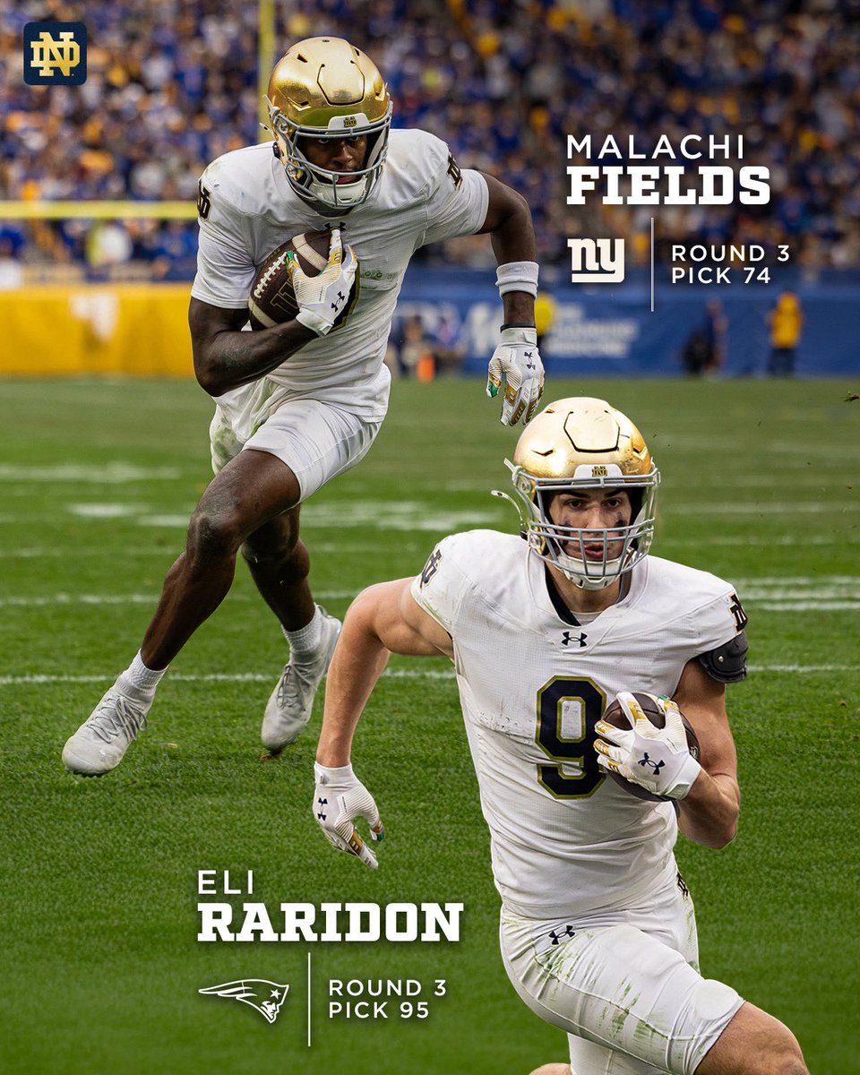 The Fighting Irish tweet media