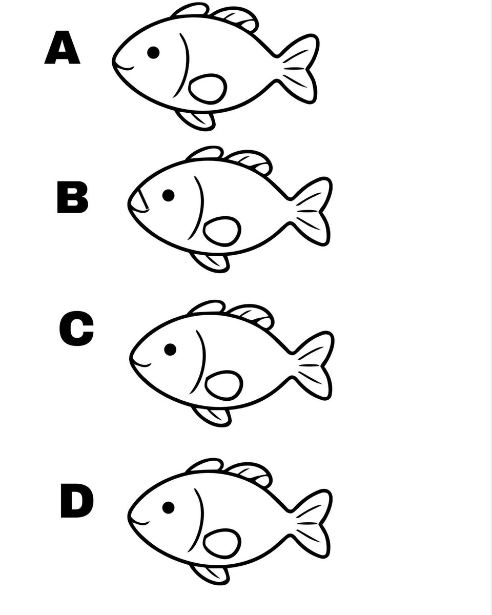 𝚂𝚞𝚏𝚒𝚊 𝚂𝚑𝚊𝚑🍁 tweet media