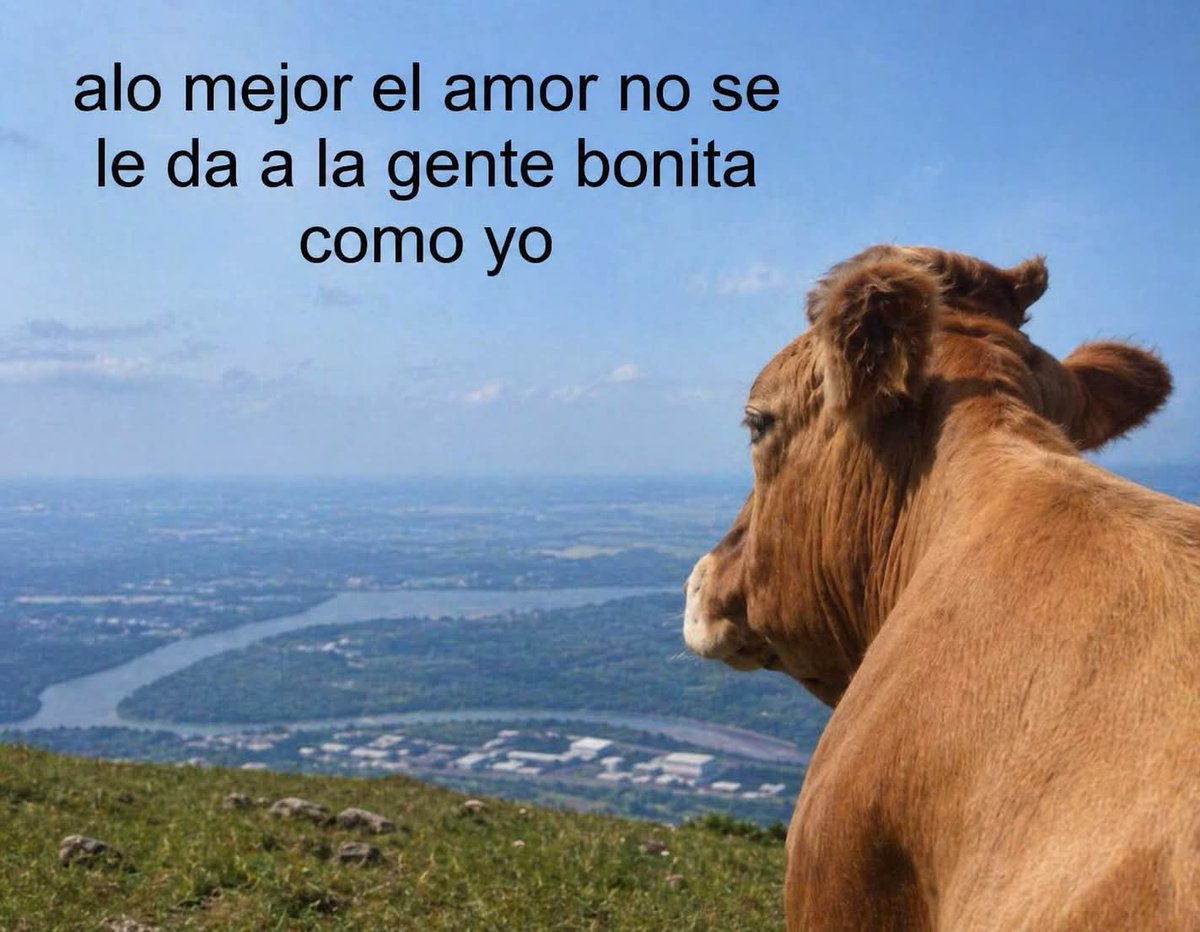 Lonely🥀 tweet media