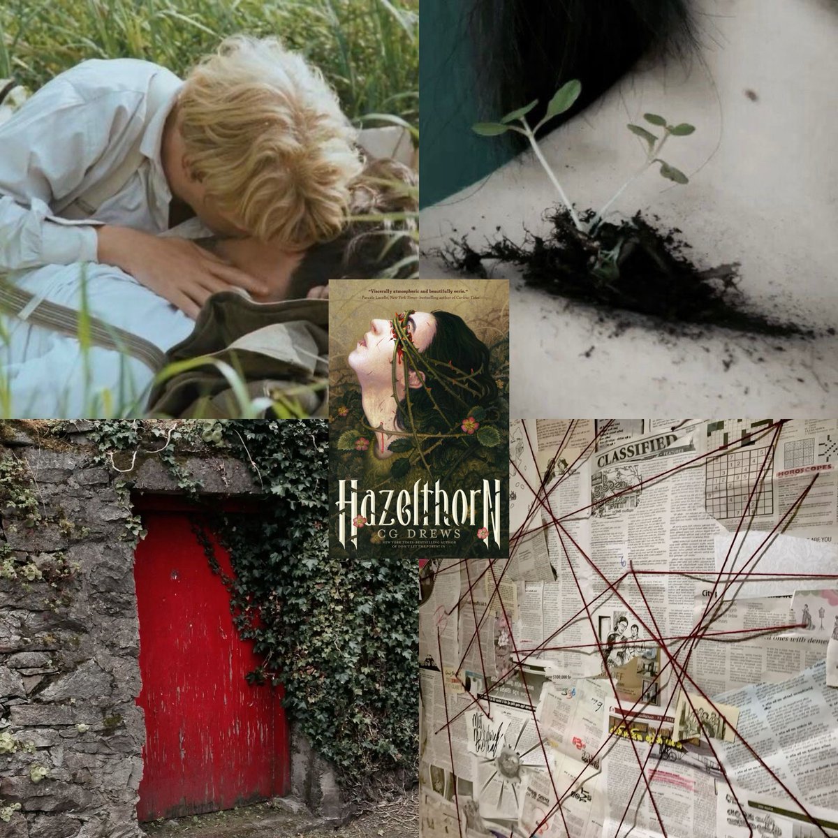 ashnbookcorner 📚 tweet media