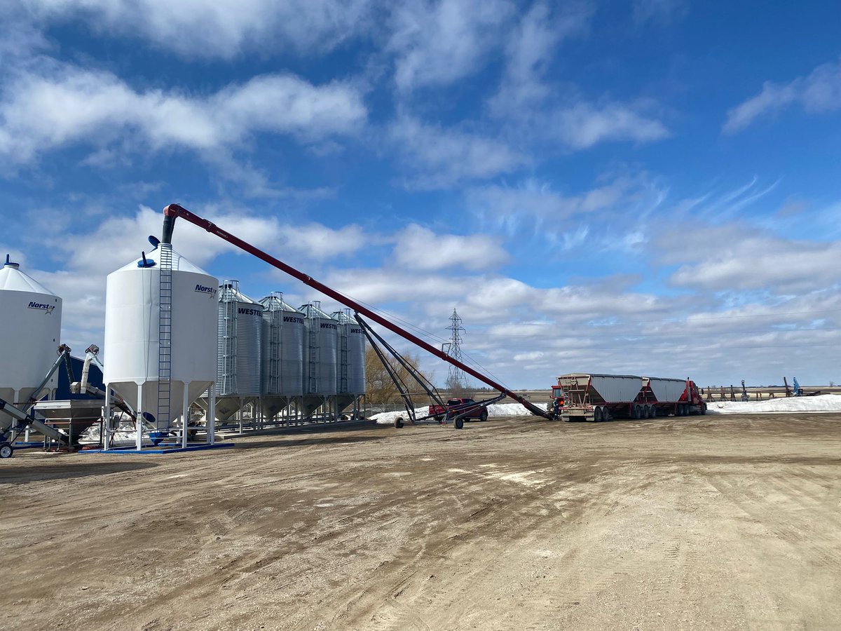 RedfernFarmSvc's tweet photo. Seed is moving, getting treated, and ready for the air drill!

Reach out to your local Redfern location to arrange seed treatments, product deliveries, or get advice as we gear up for another exciting growing season. https://t.co/MZyxecSjMt