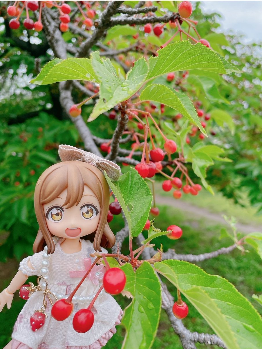 🌸ぴっぴ@photo🌸低浮上 tweet media