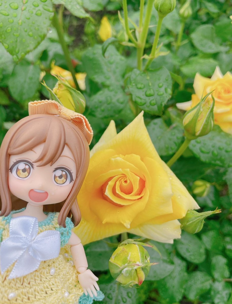 🌸ぴっぴ@photo🌸低浮上 tweet media
