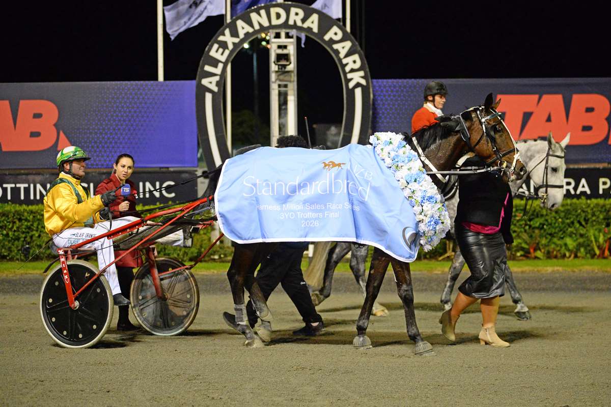 nzbstandardbred's tweet photo. Kyvalley Ray Goes Back-to-Back in Harness Million Trot 🏆💸

Australian raider #KyvalleyRay (NZ) (Bold Eagle) continued to plunder New Zealand spoils at Alexandra Park last Friday when taking out the Listed NZB Standardbred 3YO Trotters Harness Million Mobile Trot (2200m), his second Harness Million Trot victory. 🍾

He was offered at the 2024 NZB Standardbred National Yearling Sale by Ms BA Williamson where he was purchased by Kyvalley Racing for $100,000, and subsequently joined Brent Lilley’s Victorian barn.

Following two wins in his adopted homeland, Lilley elected to send Kyvalley Ray back across the Tasman to chase the good prizemoney on offer, and he has made it a lucrative trip since returning to New Zealand shores last September.

Kyvalley Ray has added four further wins to his tally, including the Group One Sires’ Stakes Series 2YO Championship (1980m), Listed NZB Standardbred 3YO Trotters Harness Million Trot (2200m), Harness Million 2YO Trot (2200m), and he was also runner-up in the Group Three “The Sundon” 2YO Mobile Trot (1980m).💫

“He felt really strong the whole way and he won it quite nicely.

“He was a wee bit funny as a juvenile back in Australia and the racing has brought him on a bit, he is maturing every time I sit behind him. He is not the complete package yet but when he does get there he is going to be a lovely horse going forward.”

Kyvalley Ray has now won six of his 10 starts and has earned more than $197,000 in prizemoney.

Read more here 📰:  https://t.co/iBUubJyDDf

#WhereWinningBegins ✨