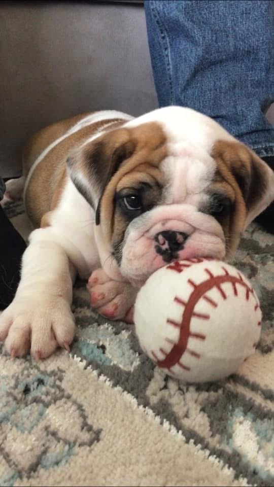 Mr. Truck tweet media