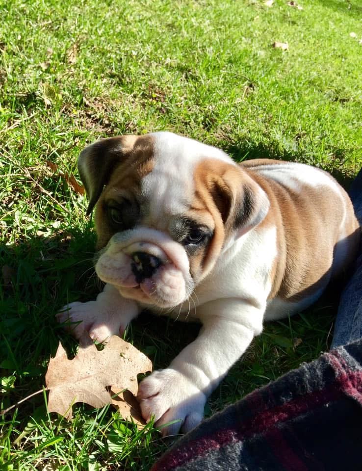 Mr. Truck tweet media