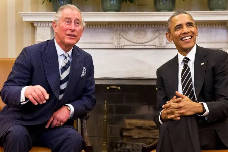 Joshua Hall tweet media