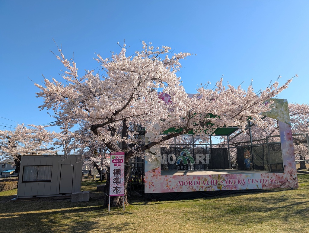 らんでぃ tweet media