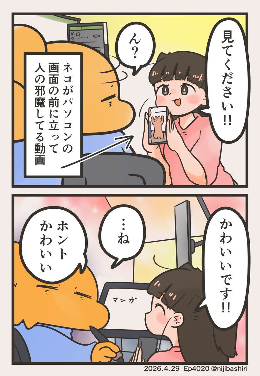虹走 tweet media