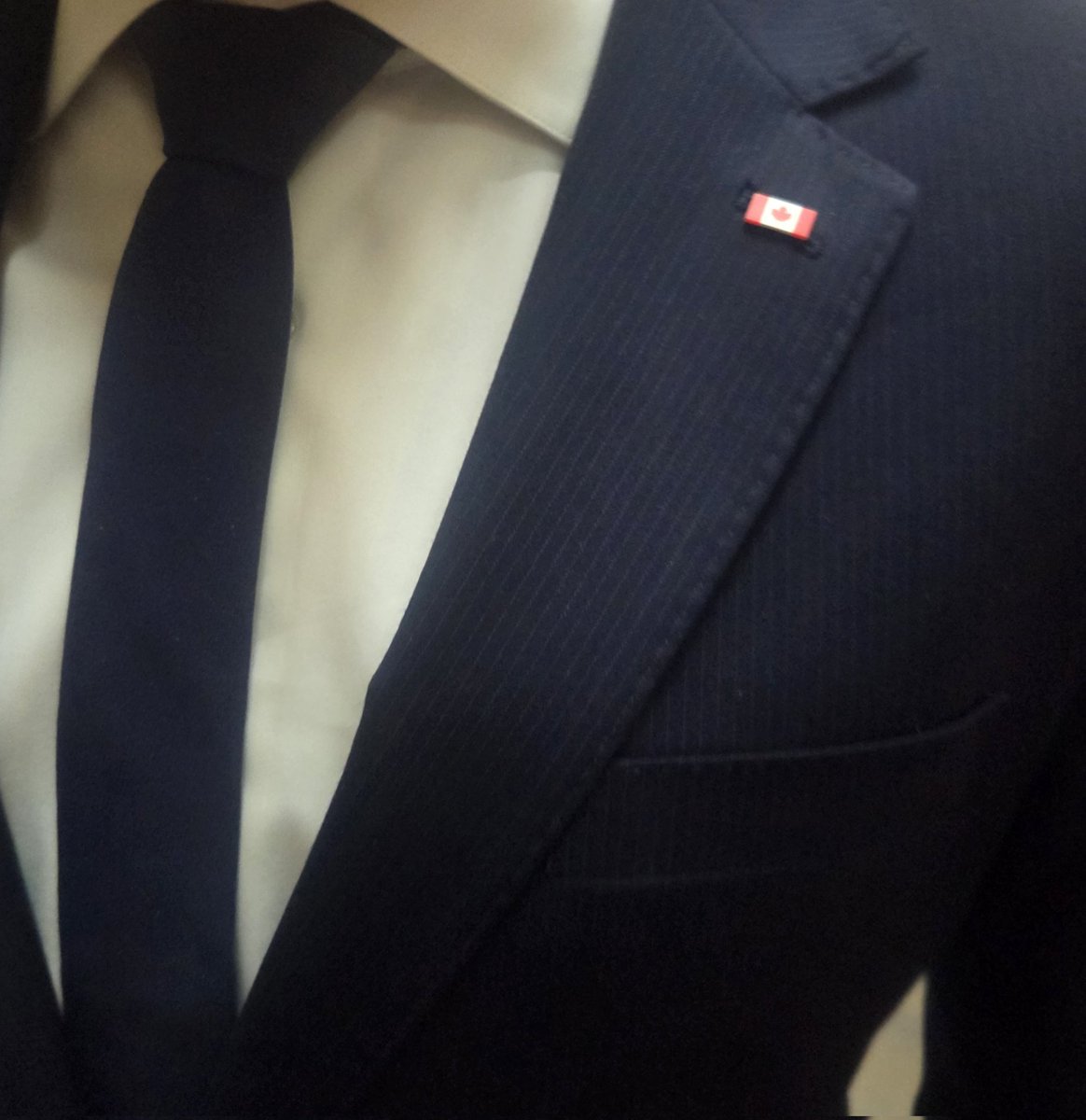 Roman_Baber's tweet photo. A year ago today I was elected to serve the people of York Centre in Ottawa.

I conceptualize my entire constituency through my lapel pin - a Canadian flag. To every sitting of the House or Committee, to every meeting, my Consituents come with me.

I'm honoured to work for you. https://t.co/yAdrINkaXS