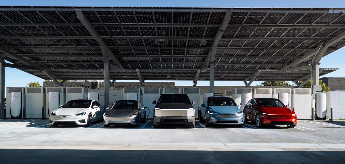 Nic Cruz Patane tweet media