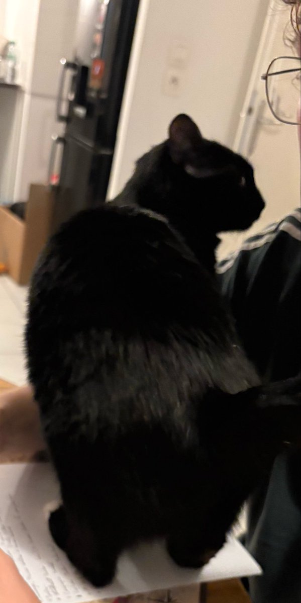 JasmineeAcorny🍵 tweet media