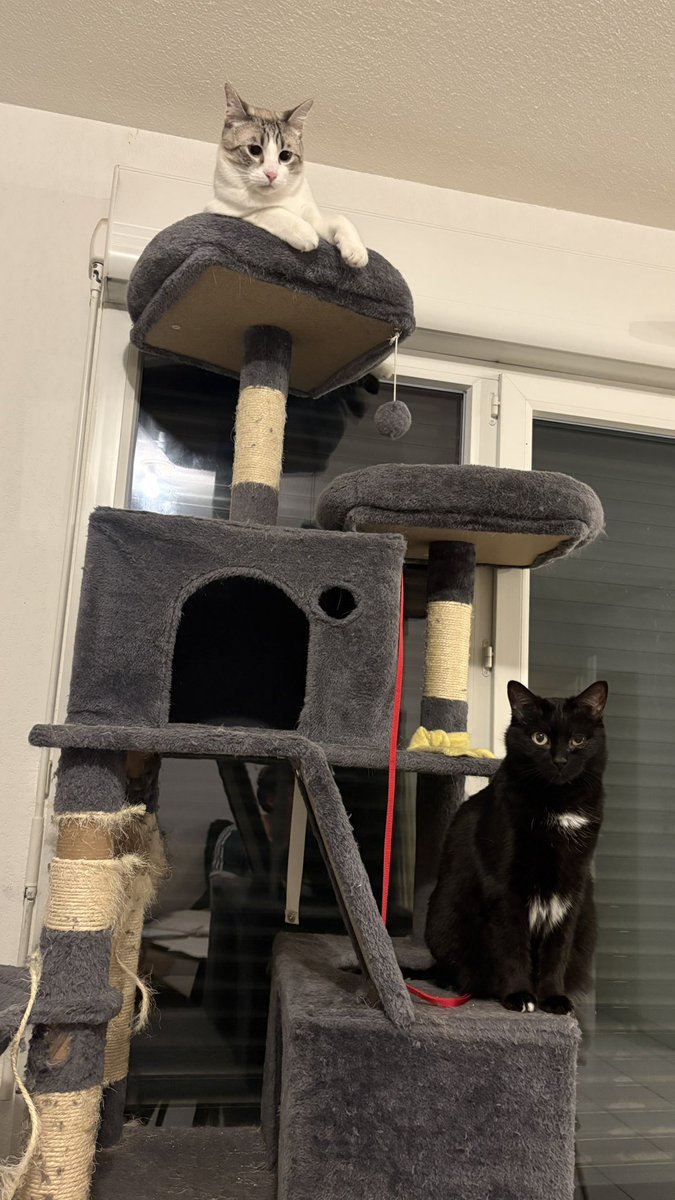 JasmineeAcorny🍵 tweet media