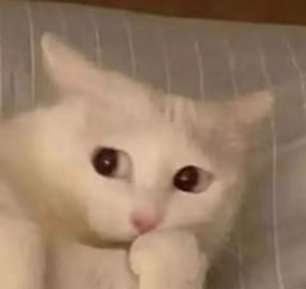 Datos Aeronáuticos ◽ tweet media