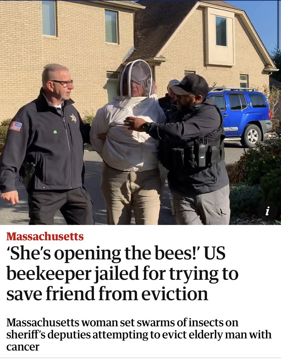 BlackRedGuard ☭ 🇵🇸🔻⛓️‍💥 tweet media