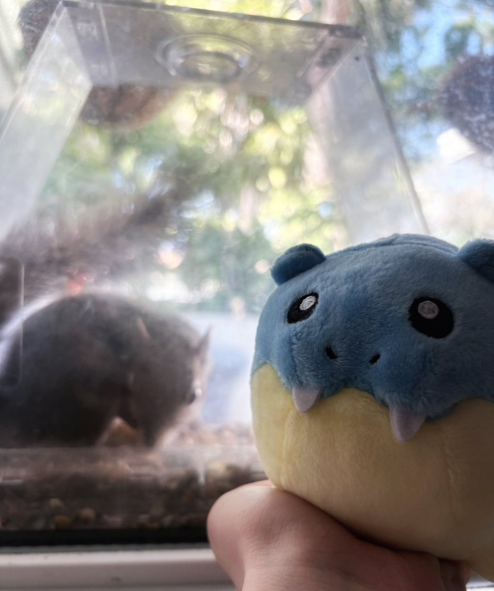 ( ^ω^ ) tweet media