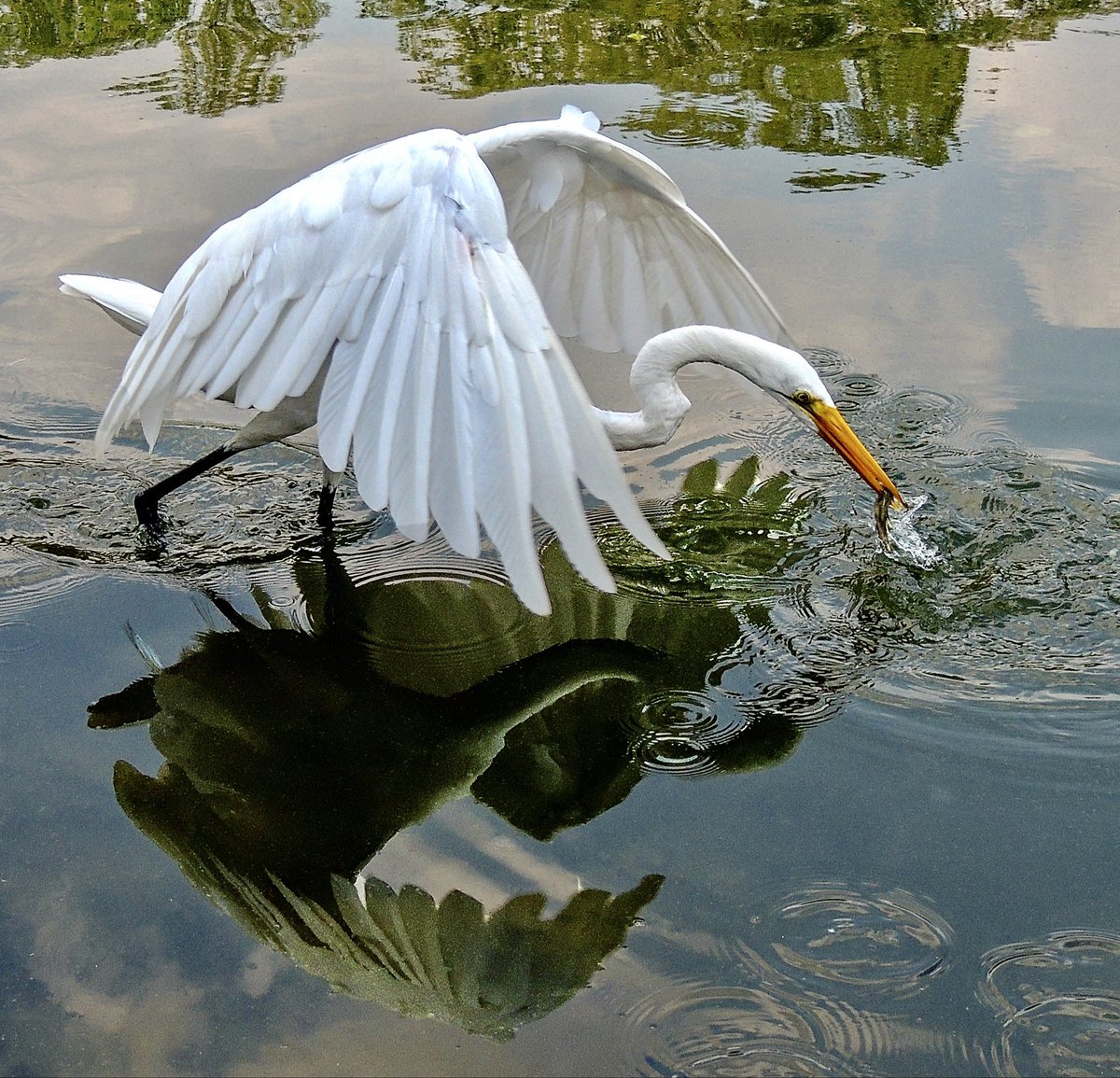 Marta ✨ tweet media