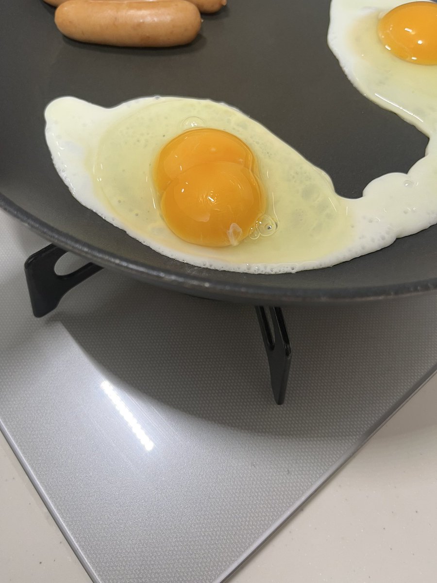 ごまさん🧘‍♀️🦭 tweet media