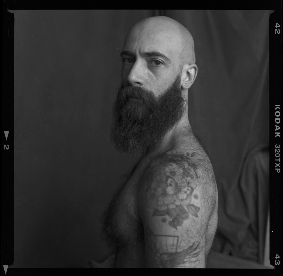 Stephen Harte tweet media