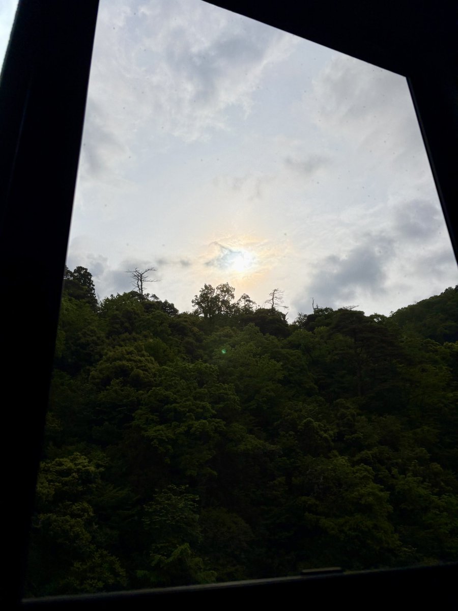 アイアン奥さん tweet media