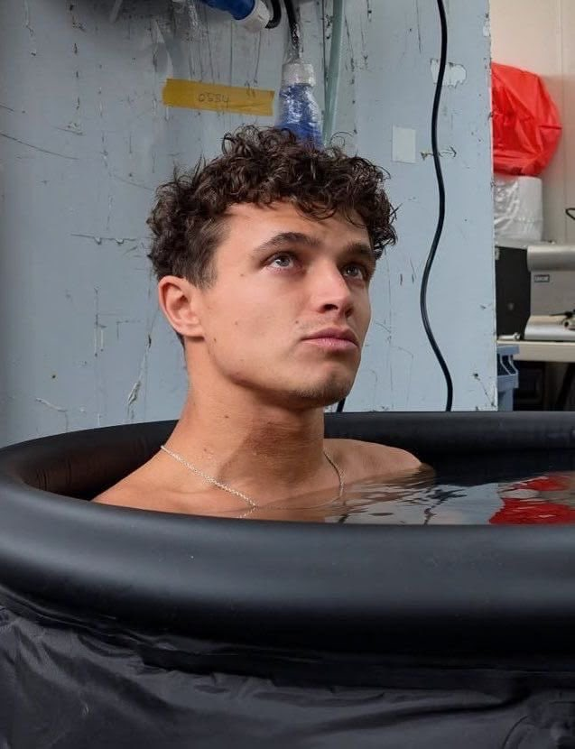 ⋆ vero ⋆ | THE GRID'S BECOMING A RAINBOW 🌈 tweet media