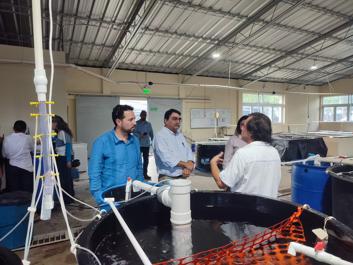 FAO El Salvador tweet media