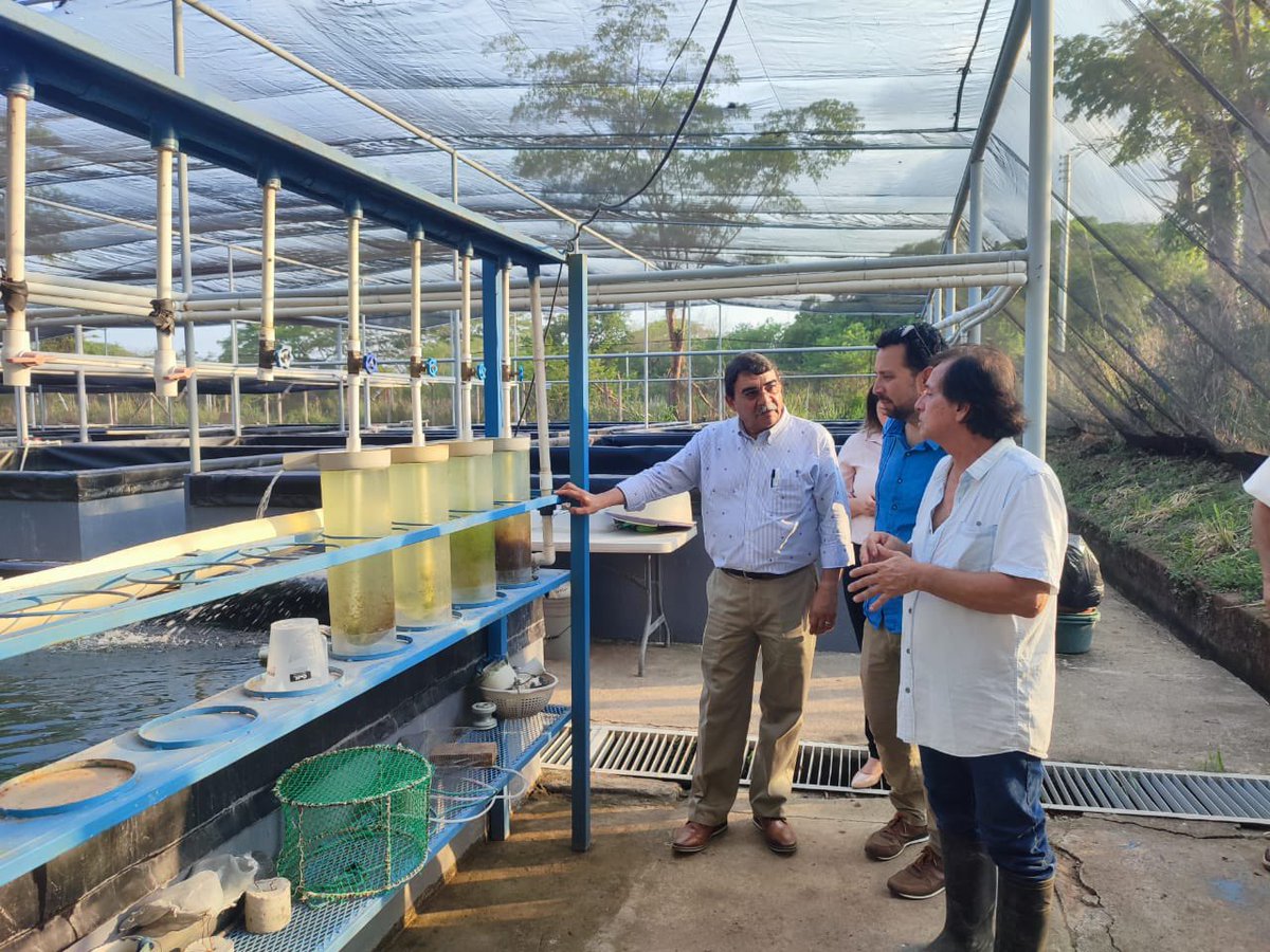 FAO El Salvador tweet media