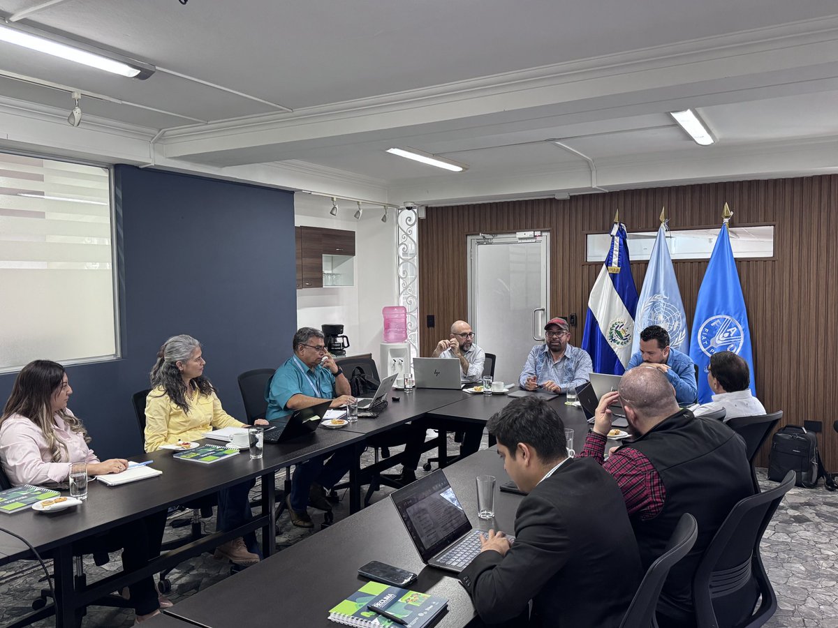 FAO El Salvador tweet media