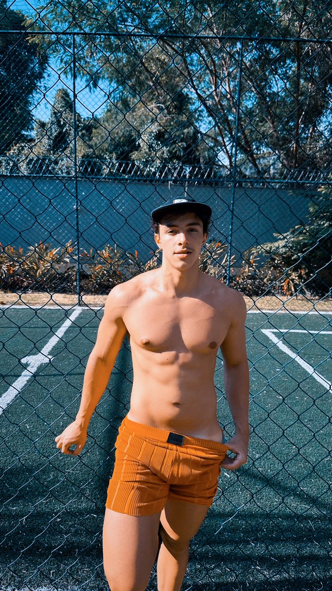 ᅟᅟᅟ𝕻𝖊𝖉𝖗𝖔 tweet media