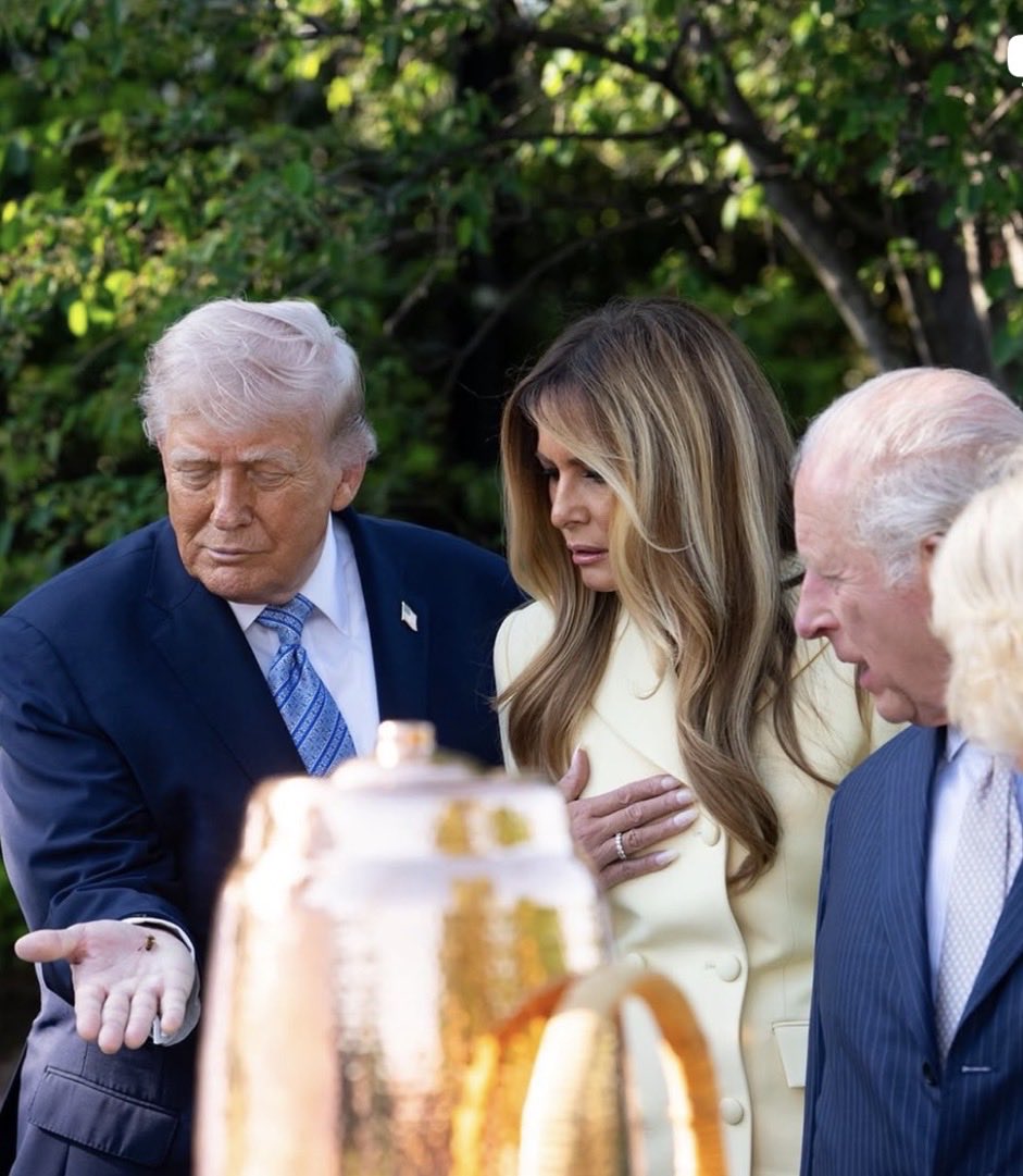 @MysterySolvent tweet media