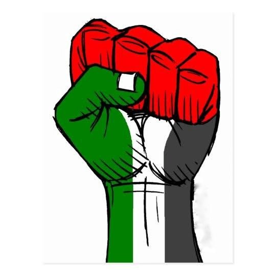 Algoritmo, por favor te pido hagas llegar esta imagen a todos quienes anhelamos con una #PalestinaLibre 

Es una obligación no quedarnos callados ✌🏻